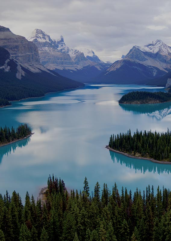 A blue lake surrounded by forests and tall mountains.